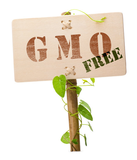 canva-gmo-free-sign-MAC5K3vkKl0 canva-gmo-free-sign-MAC5K3vkKl0