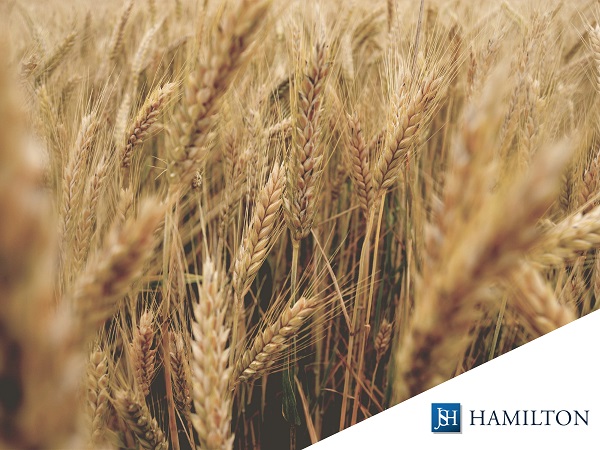 Badania �ywnosci szablon post poziom