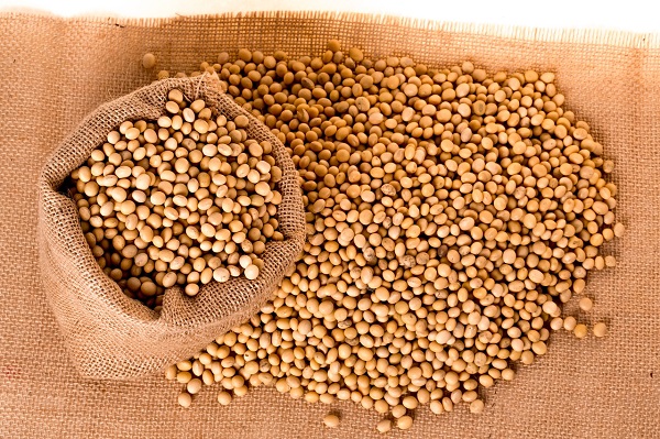 soybeans-2039638_1280 soybeans-2039638_1280
