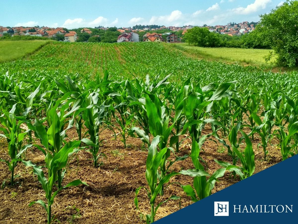 Badania ywnoci szablon post poziom(4)