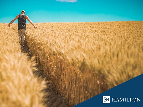 Badania �ywno�ci szablon post poziom(5) (002)